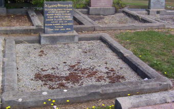 Full-size image