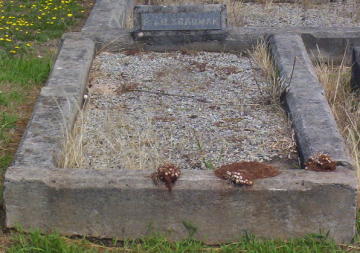 Full-size image