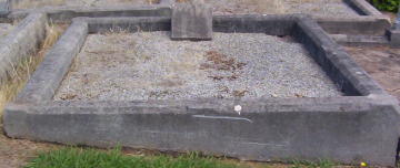 Full-size image