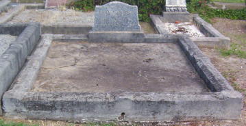 Full-size image