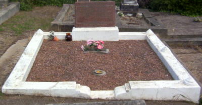 Full-size image