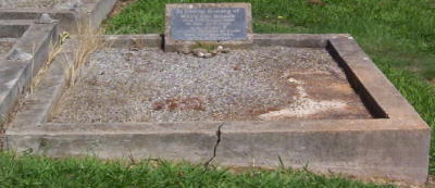 Full-size image