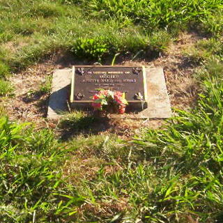 Full-size image