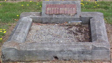 Full-size image