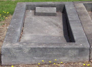 Full-size image
