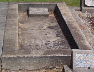 Full-size image