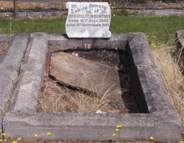 Full-size image