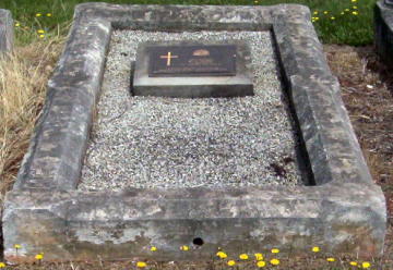 Full-size image