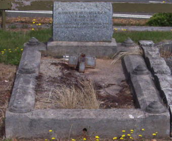 Full-size image