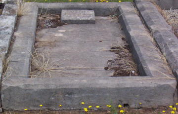 Full-size image
