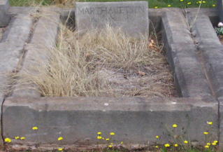 Full-size image