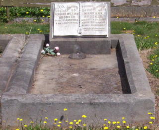 Full-size image
