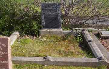 Full-size image