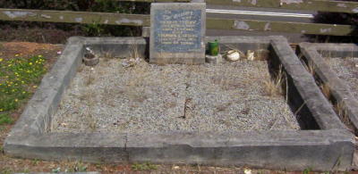 Full-size image
