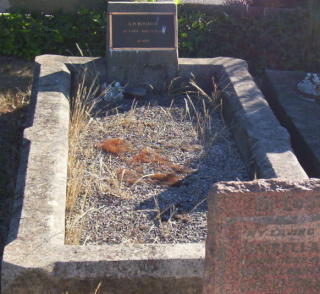 Full-size image