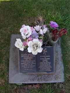Full-size image
