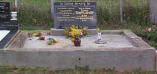 Full-size image