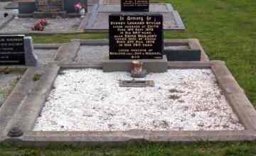 Full-size image