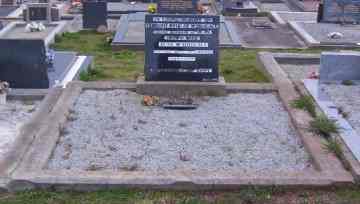 Full-size image
