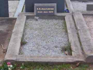 Full-size image