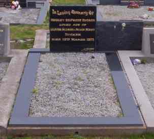 Full-size image