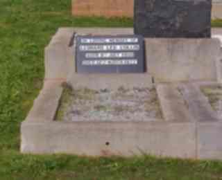 Full-size image