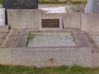 Full-size image