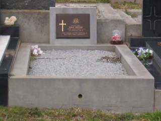 Full-size image