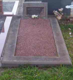 Full-size image