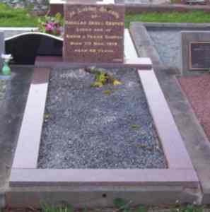 Full-size image
