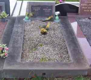 Full-size image