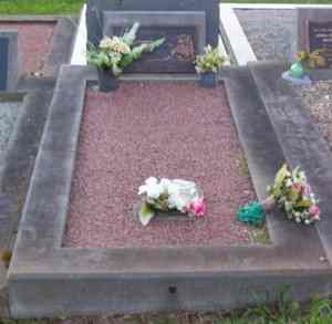 Full-size image