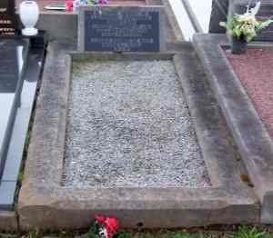 Full-size image