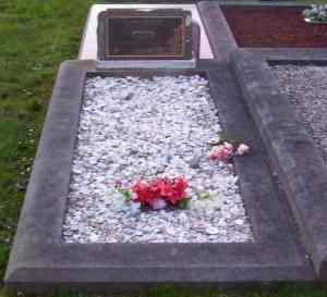 Full-size image