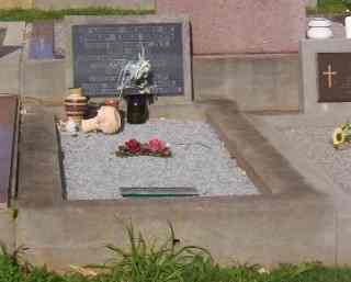 Full-size image