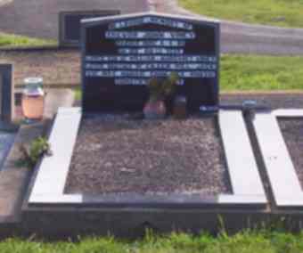 Full-size image