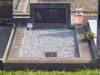 Full-size image