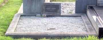 Full-size image