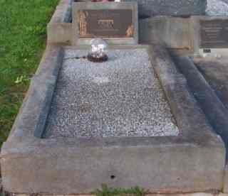 Full-size image