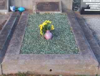Full-size image