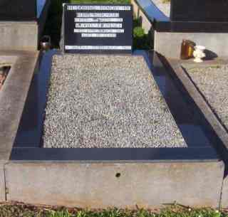 Full-size image