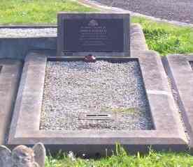 Full-size image