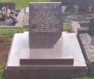 Full-size image