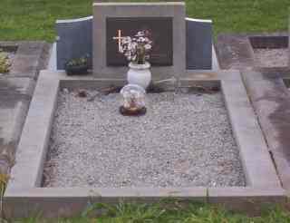 Full-size image