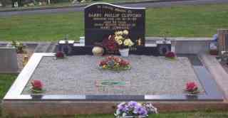 Full-size image