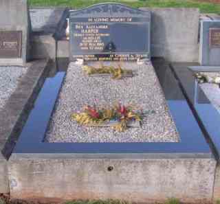 Full-size image