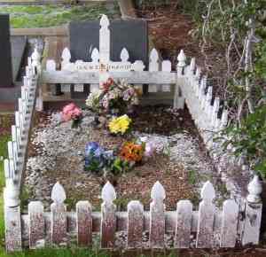Full-size image