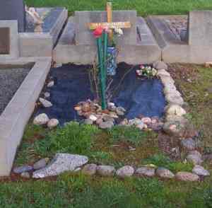 Full-size image