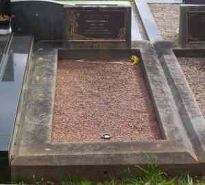 Full-size image