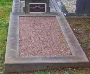 Full-size image